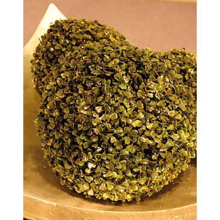 vidaXL Bosso artificiale con vaso a forma di palla verde 71