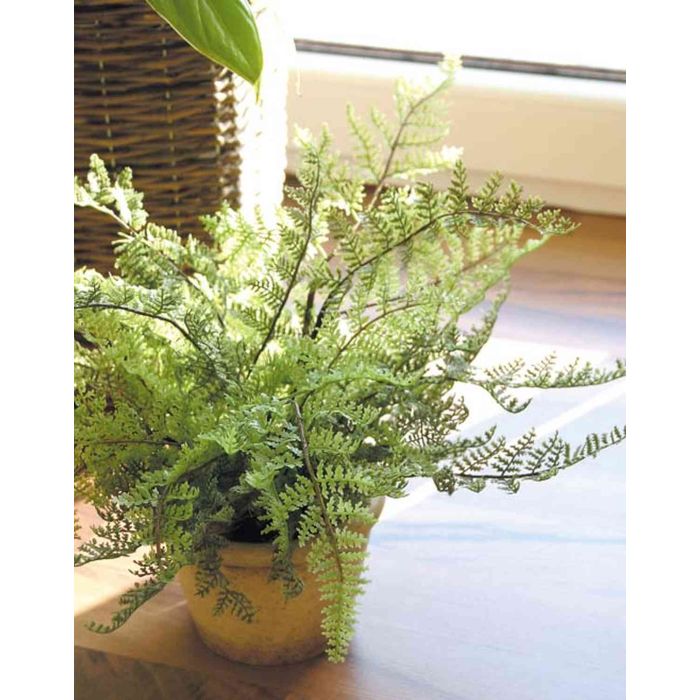 Felce Boston Artificiale Da Appendere, 58 Cm In Vaso Con Cordino – Pianta Finta Realistica Per Interni, Balcone, Ufficio