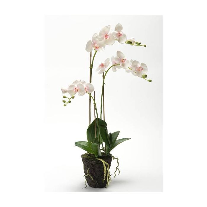 Orchidea finta PABLA con terriccio, bianco-rosa, 70cm, Ø8-10cm - Fiori  artificiali