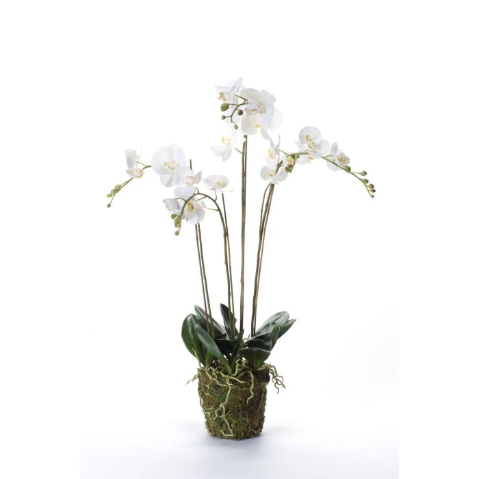 Orchidea finta PABLA con terriccio, bianco, 90cm, Ø10-13cm - Fiori