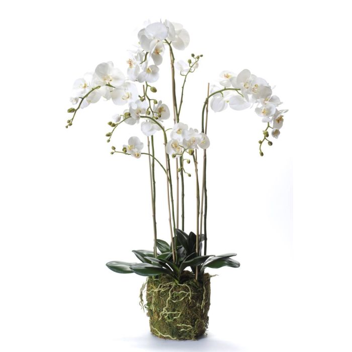 Orchidea finta PABLA con terriccio, bianco, 130cm, Ø10-15cm
