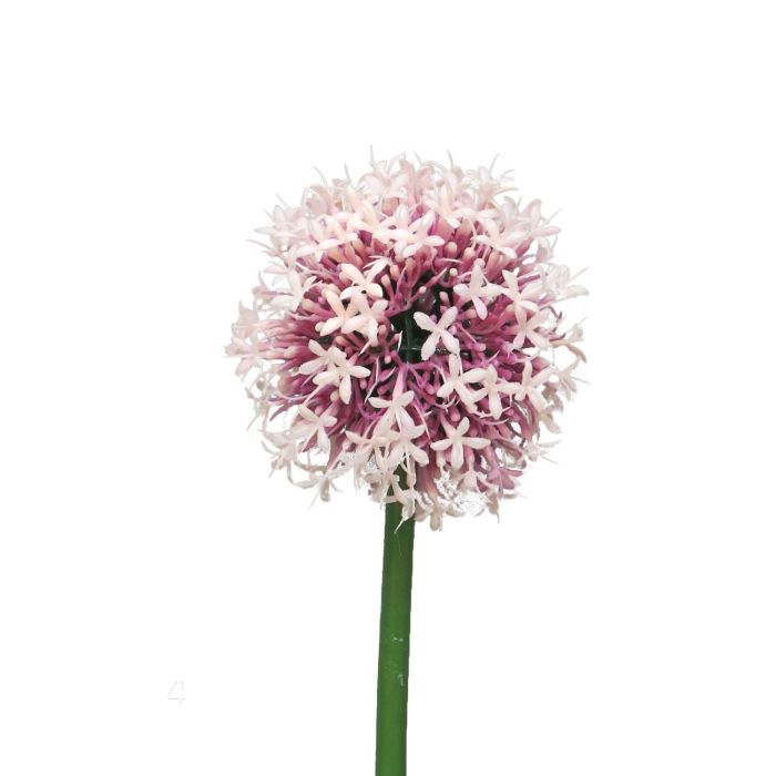 Allium Artificiale Finto Durban Bianco 70 Cm – Pianta Finta Da Decorazione Per Interni