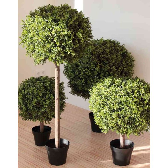 Albero di bosso artificiale TOM, tronco naturale, verde, 170cm - Alberi
