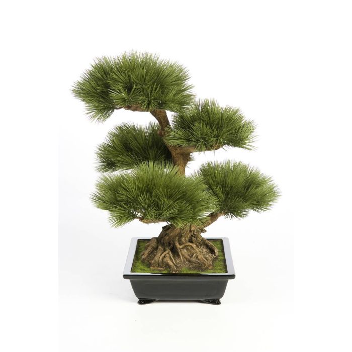 Pino bonsai finto TAYLOR, radici, ciotola ceramica, verde, 70cm - Alberi  artificiali