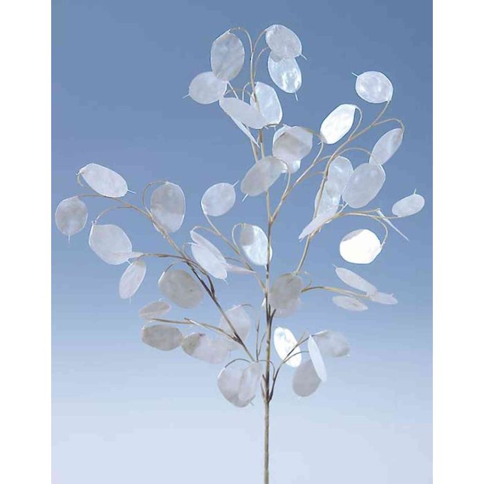 Foglia D'Argento Commestibile 100% Puro - 60x60 Mm, Confezione Da 10 Foglie, Per Decorazione Dolci - Foto 3