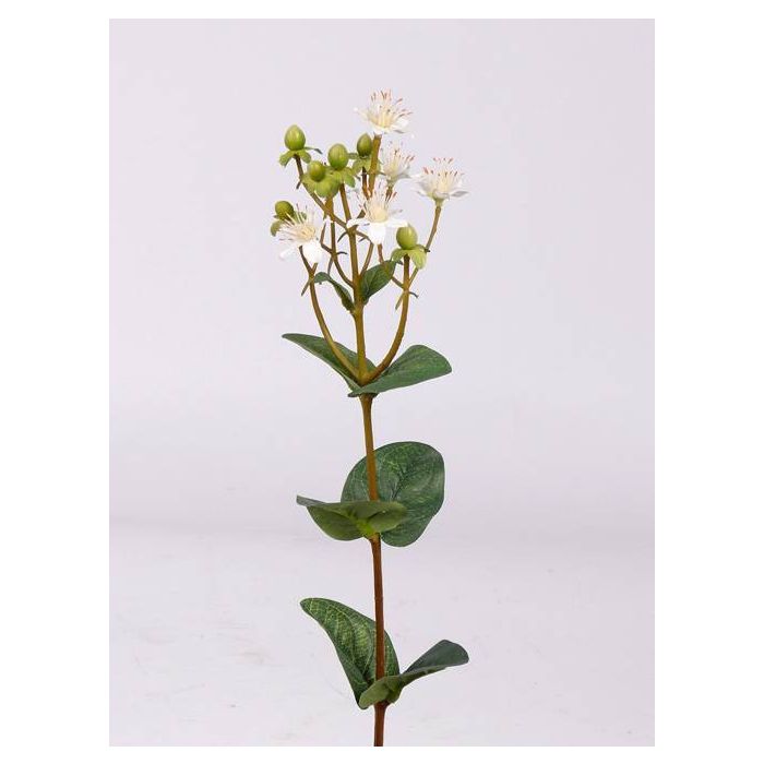 Ficus benjamina finto BRATKO, tronco artificiale, verde-bianco, 220cm