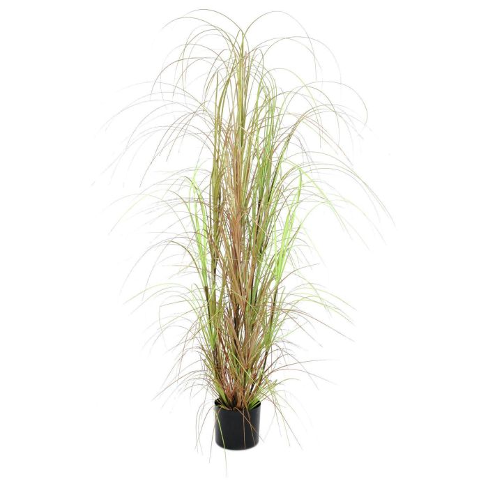 Cannuccia di palude falsa ERWINA, verde-marrone, 150cm - Erbe artificiali