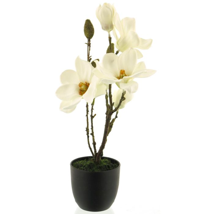 Ramo di magnolia artificiale: stelo floreale color crema autunnale da 64 cm