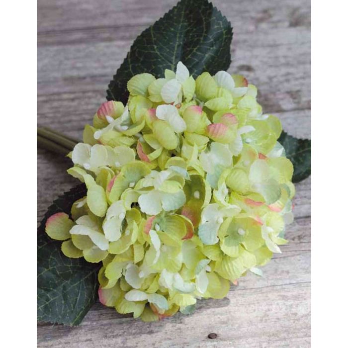 Bouquet di ortensie artificiali LILLIE, crema-verde, 20cm, Ø16cm