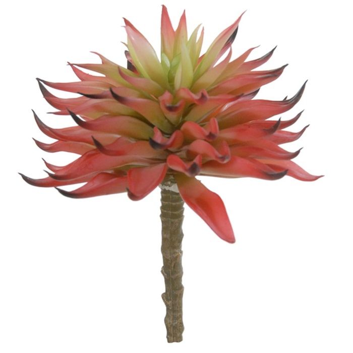 FloristryWarehouse Agapanthus Artificiale 75 Cm – Eleganza Verde Per La Tua Casa - 3