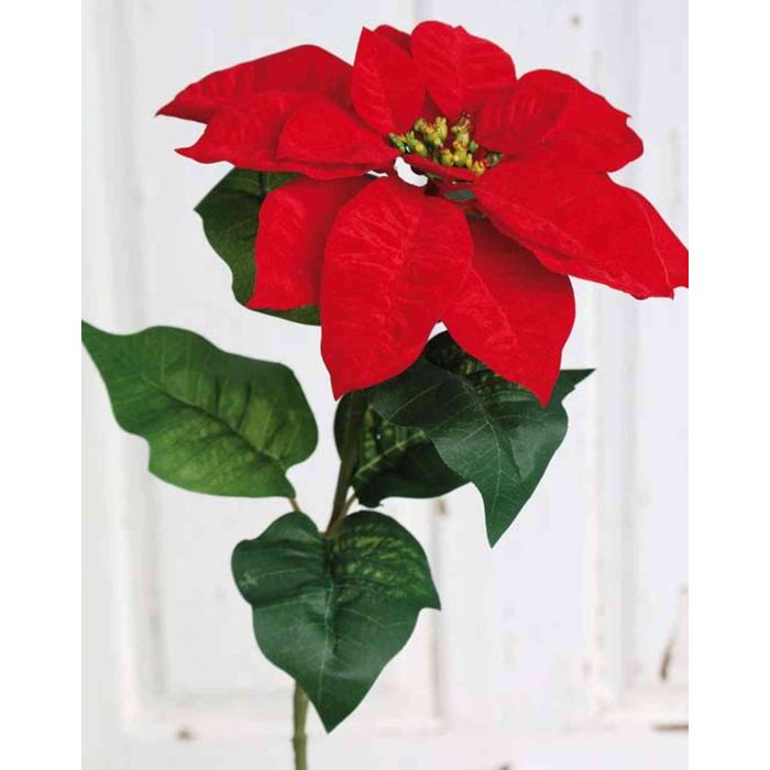 FloristryWarehouse – Mazzo Di Stelle Di Natale Artificiali In Seta, 7 Fiori Rossi, Lunghezza 30 Cm - 2