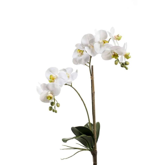 Orchidea finta CANDIDA su stelo, bianco, 65cm, Ø7-8cm - Fiori