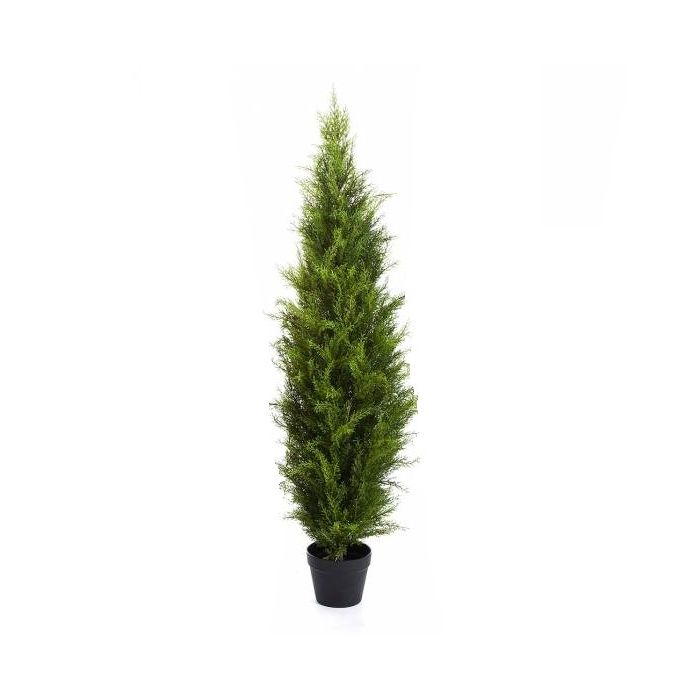 Albero di cedro artificiale LEONARDO, verde chiaro, 165cm - Alberi