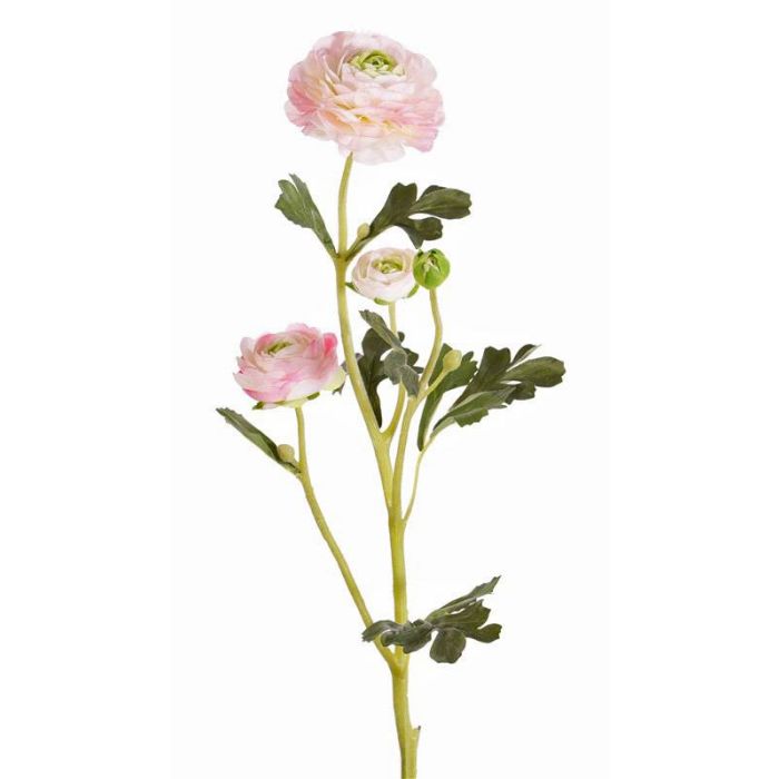 Ranuncolo artificiale ANSHAN, crema, 65 cm