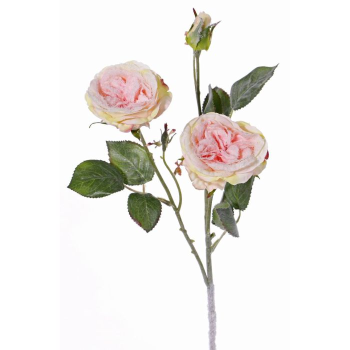 Rosa centifolia finta MADITA, innevato, rosa, 60cm, Ø9cm - Fiori artificiali
