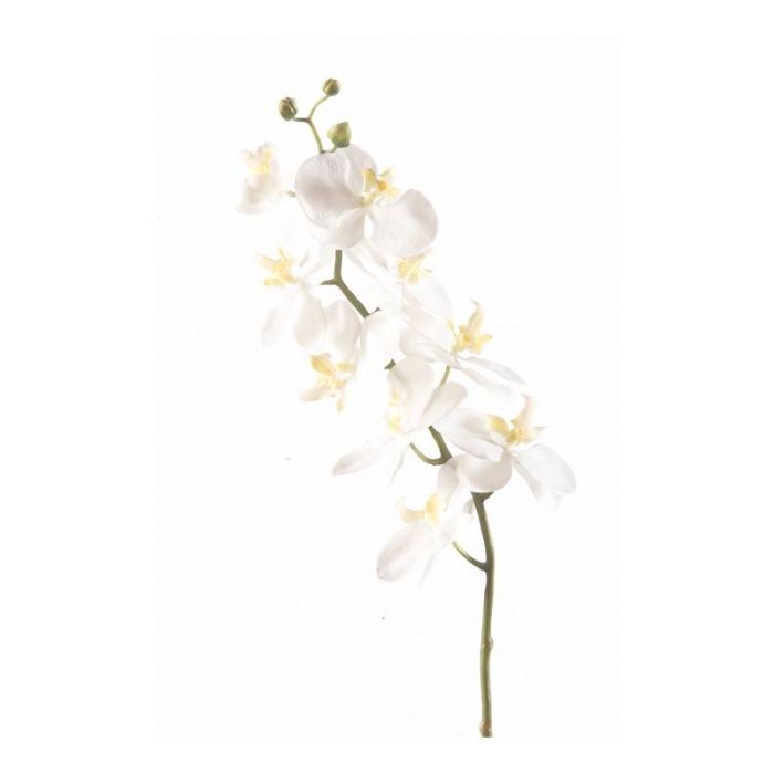 Ramo di magnolia artificiale LILO, crema, 75cm, 5-9cmMagnolia artificiale LILO, crema, 75cm, 5-9cm - : Magnolia : Magnolia FintaAcquistare magnolia artificiale nel negozio online di Fiori Artificial