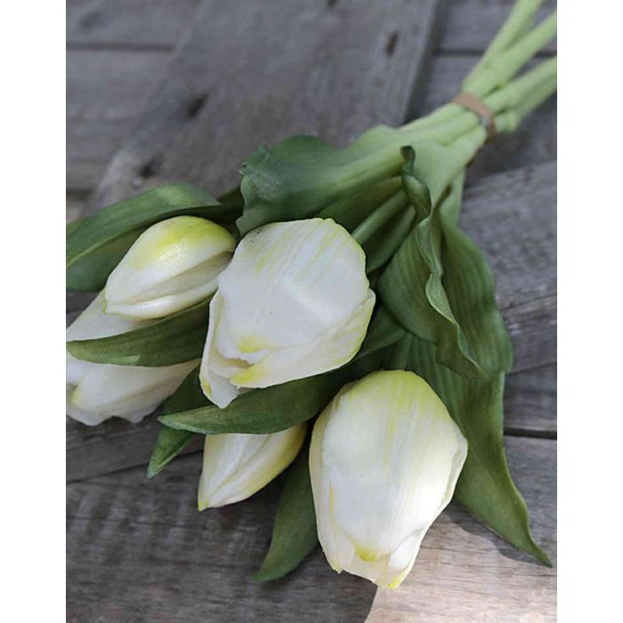 Mazzo di tulipani artificiali LEANA, bianco-verde, 30cm, Ø20cm