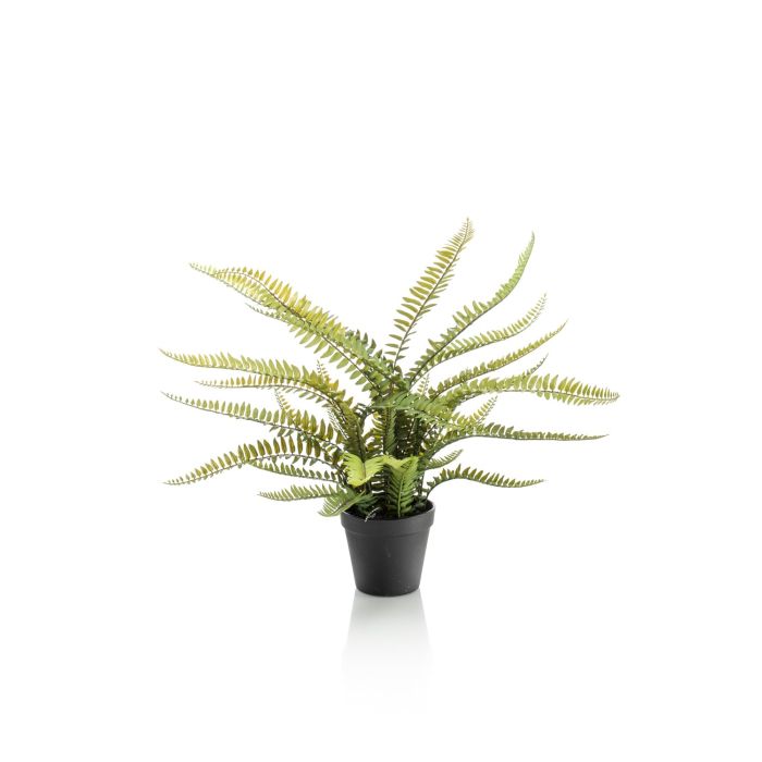 Ramo di felce spada artificiale NISHA, verde, 110cm