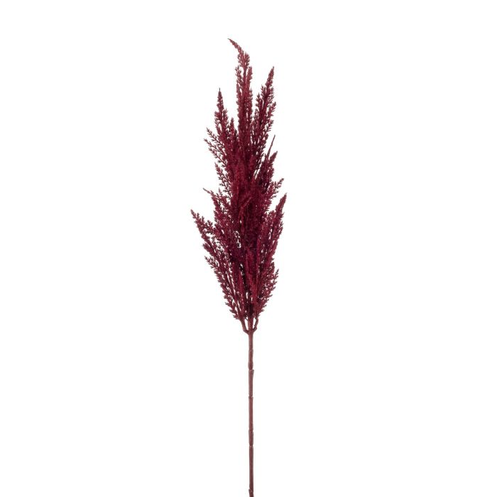 Erba Della Pampa Artificiale 45 Cm,5 Steli Per Composizioni Floreali E Vasi Decorazione Per Casa Beige 97043830