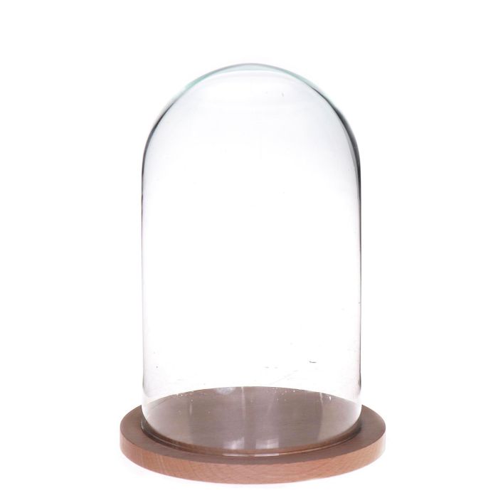 Cupola di vetro HELVIN, base di legno, trasparente, 25cm, Ø14cm