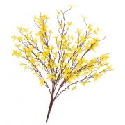 Ramo di forsizia di plastica LOVIS, con fiori, giallo, 60cm