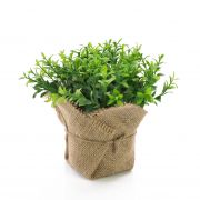 Crescione artificiale VITUS, in sacco di juta , verde, 17cm, Ø18cm