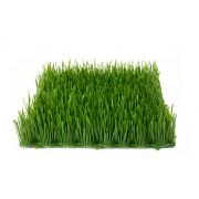Tappeto di erba artificiale / Siepe di plastica MIKKO, verde scuro, 25x25cm