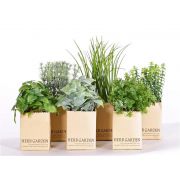 Mix di erbe artificiali CHUCK in vaso di carta, 6 pezzi, verde, 15-25cm