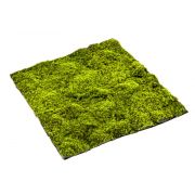 Tappeto artificiale di muschio sphagnum FERMIN, verde, 100x100cm