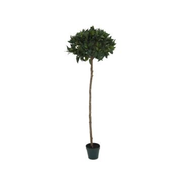 Alloro di plastica THISSEAS, tronco naturale, verde, 180cm, Ø60cm