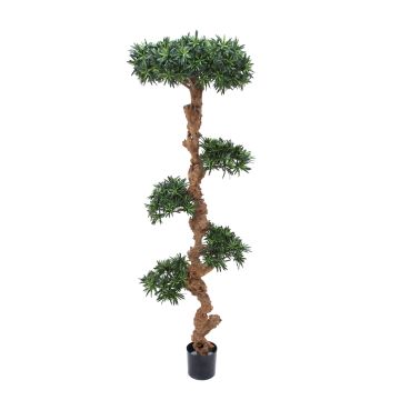 Bonsai podocarpus di plastica RENZO, tronco naturale, verde, 185cm