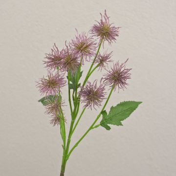 Ramo decorativo di cardo sferico GESKENDA, viola, 60 cm
