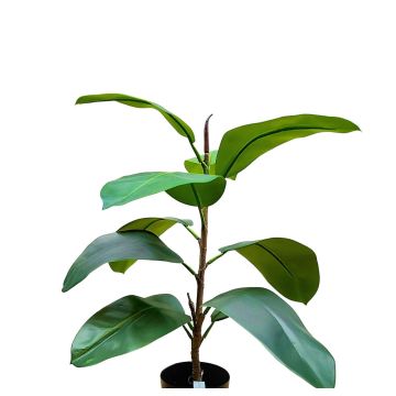 Albero della gomma artificiale FRODELINDE, tronco artificiale, verde, 60 cm