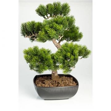 Pino bonsai di plastica SHADIA, con radici, ciotola, verde, 50cm