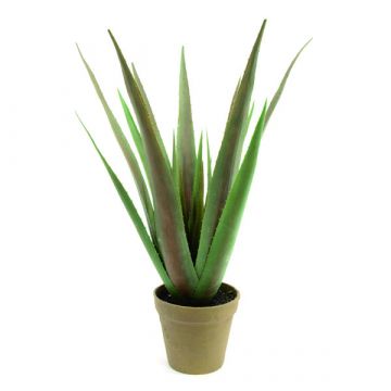 Aloe di plastica LUCIO, in vaso decorativo, verde, 55cm, Ø25cm