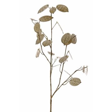 Ramo decorativo Lunaria LOUDIAS, beige, 90 cm