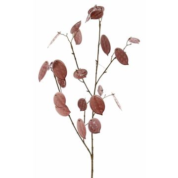Ramo decorativo Lunaria LOUDIAS, malva, 90 cm