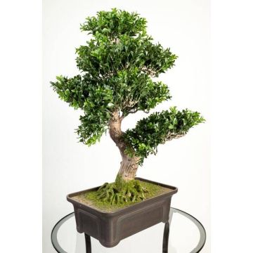 Bosso bonsai di plastica JELKO, con radici, ciotola, verde, 65cm