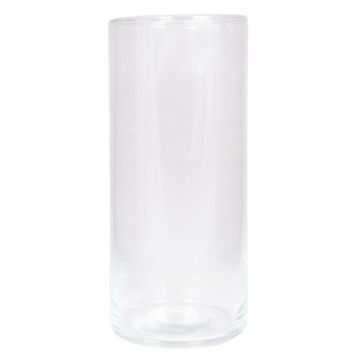 Vaso cilindrico per fiori SANYA OCEAN in vetro, trasparente, 25cm, Ø11,5cm