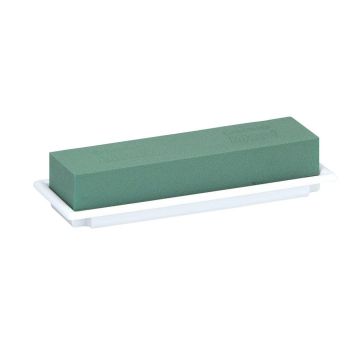 OASIS Schiuma per fiori freschi rettangolare AILYN per composizioni floreali, in contenitore in composto di carta, verde-bianco, 25x9x5 cm