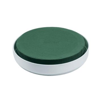 OASIS Vaschetta rotonda in schiuma umida RUDON per composizioni floreali, in vaschetta di plastica, verde-bianco, 4 cm, Ø 20 cm