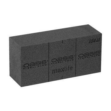 OASIS Black Ideal Maxlife Spugna umida mattoni ALENJA con linee di taglio, nero, 23x11x7,5cm