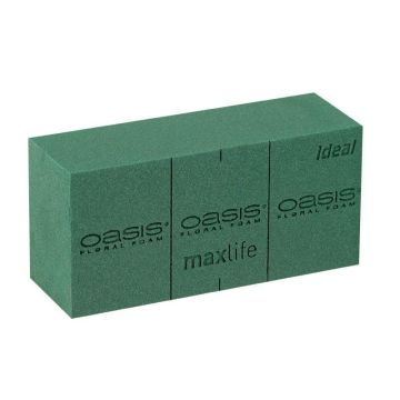 OASIS Ideal Maxlife Materiale umido per fiori secchi BOZO con linee di taglio, verde, 23x11x7,5 cm