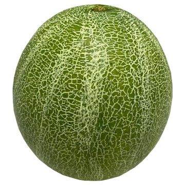 Frutta decorativa melone cantalupo ZASTO, verde, Ø 15 cm