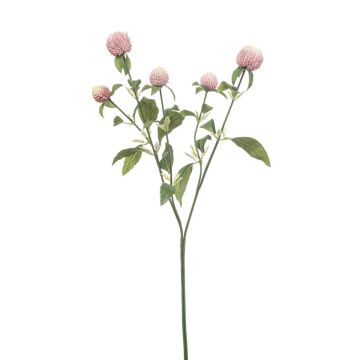 Ramo artificiale amaranto sferico DREWON, rosa, 65 cm