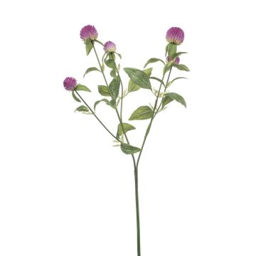 Ramo artificiale di amaranto sferico DREWON, viola, 65 cm