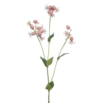 Ramo artificiale silene PRANVERA con fiori, rosa, 80 cm