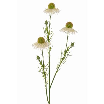 Echinacea artificiale CELIO, crema, 60cm, Ø6cm