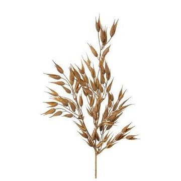 Ramo decorativo avena liscia SNOLHE con spighe, marrone, 65 cm