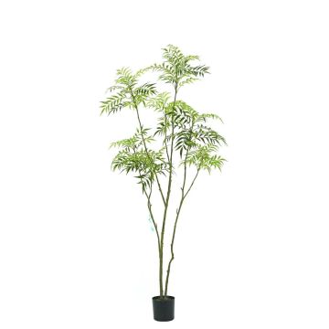 Albero artificiale Mahonie KLEANA, tronchi artificiali, verde, 210 cm